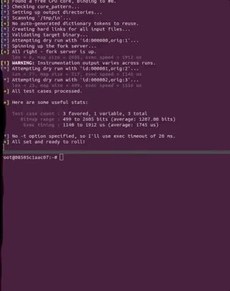 Troubleshooting AFL Fuzzing Problems